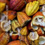 Will Cacao Get You High - Astrology Relationship Advice - Astrology Cosmos