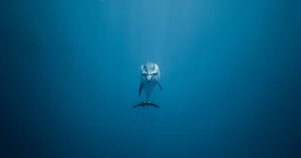What Happens When a Pisces Woman Becomes Distant?