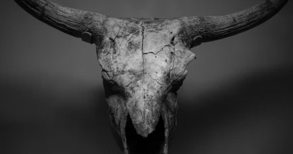 What Happens When a Taurus Man Is Done With You?