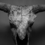 What Happens When a Taurus Man Is Done With You?