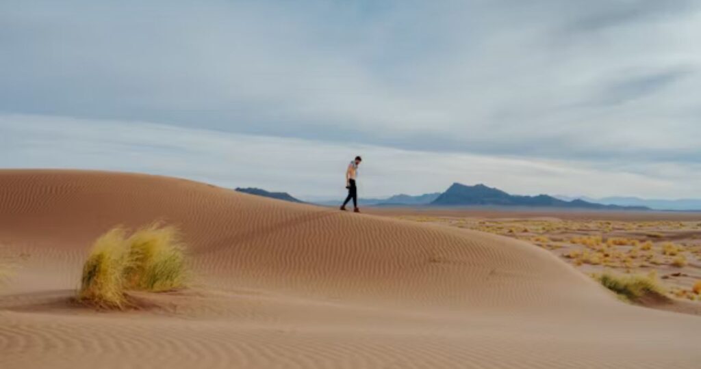 What Happens When a Virgo Woman Becomes Distant?