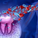 The Link Between Gum Health and Heart Health: Why Coverage Matters