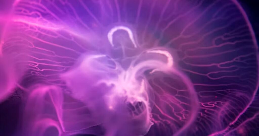 What Happens When a Sagittarius Woman Is Done With You?