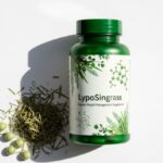Lyposingrass vs. Traditional Grasses: A Comparative Analysis